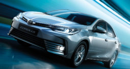 Toyota Corolla Sedan