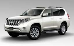 LandCruiser Prado full