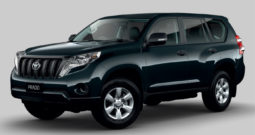 LandCruiser Prado